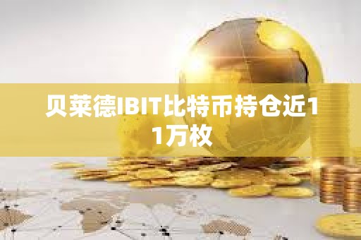 貝萊德IBIT比特幣持倉近11萬枚