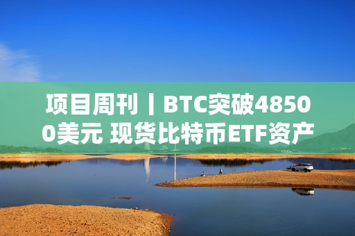 項目周刊丨BTC突破48500美元 現貨比特幣ETF資產管理規模達100億美元里程碑