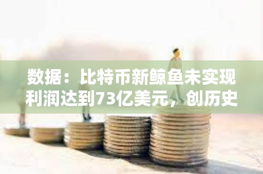 數據：比特幣新鯨魚未實現利潤達到73億美元，創歷史新高