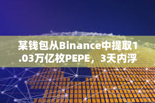 某錢包從Binance中提取1.03萬億枚PEPE，3天內浮盈134萬美元