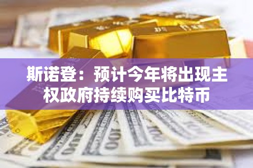 斯諾登：預計今年將出現主權政府持續購買比特幣