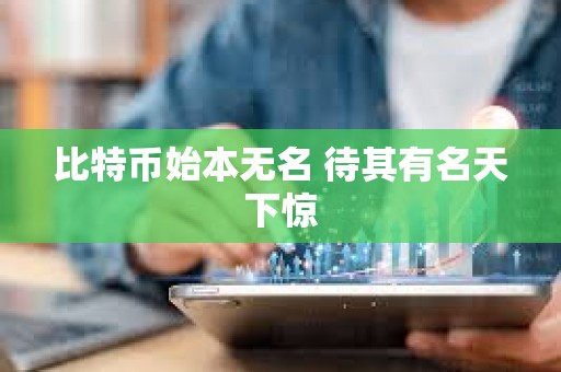 比特幣始本無名 待其有名天下驚