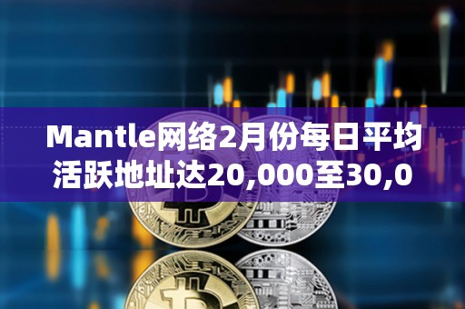 Mantle網絡2月份每日平均活躍地址達20,000至30,000個