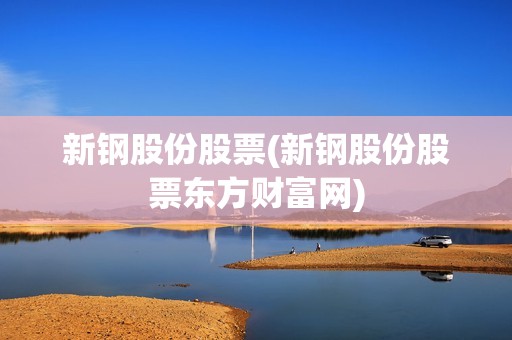 新鋼股份股票(新鋼股份股票東方財富網)