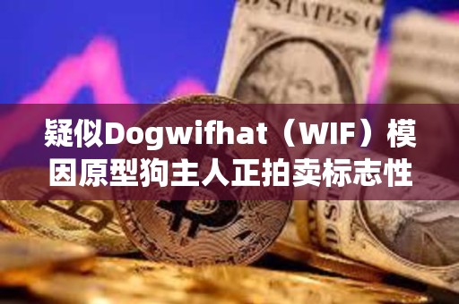 疑似Dogwifhat（WIF）模因原型狗主人正拍賣(mài)標(biāo)志性照片NFT