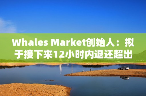 Whales Market創始人：擬于接下來12小時內退還超出金額