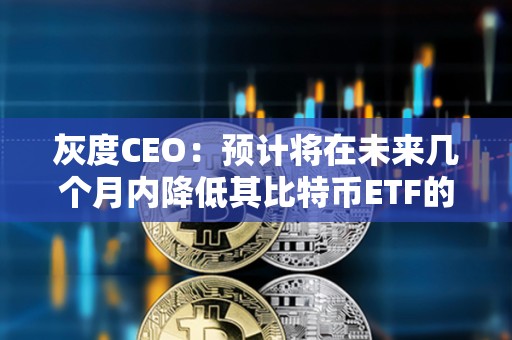 灰度CEO：預計將在未來幾個月內降低其比特幣ETF的費用
