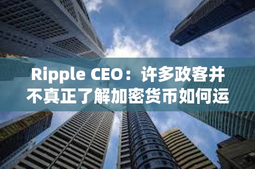 Ripple CEO：許多政客并不真正了解加密貨幣如何運作
