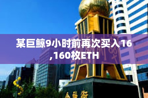 某巨鯨9小時前再次買入16,160枚ETH