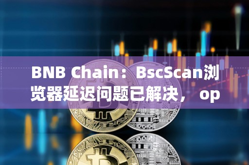 BNB Chain：BscScan瀏覽器延遲問(wèn)題已解決， opBNB仍在處理