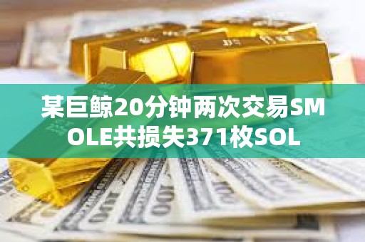 某巨鯨20分鐘兩次交易SMOLE共損失371枚SOL