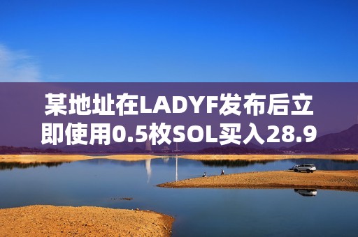 某地址在LADYF發(fā)布后立即使用0.5枚SOL買入28.9億枚，目前獲利超30萬美元