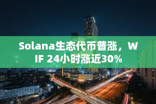 Solana生態代幣普漲，WIF 24小時漲近30%