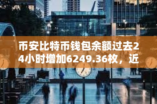 幣安比特幣錢包余額過去24小時增加6249.36枚，近7天流入15565.89枚