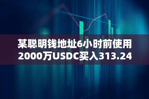 某聰明錢地址6小時前使用2000萬USDC買入313.24枚WBTC