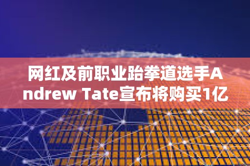 網(wǎng)紅及前職業(yè)跆拳道選手Andrew Tate宣布將購買1億美元比特幣
