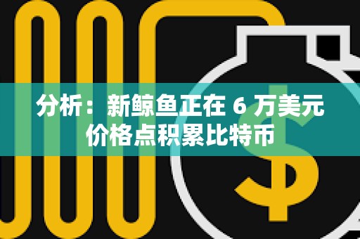 分析：新鯨魚正在 6 萬美元價格點積累比特幣