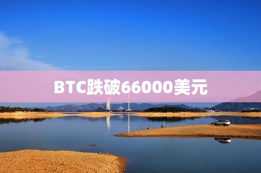 BTC跌破66000美元