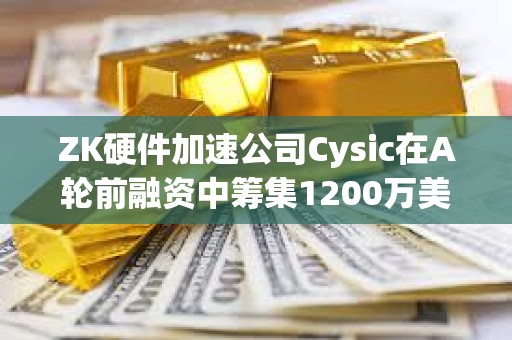 ZK硬件加速公司Cysic在A輪前融資中籌集1200萬美元