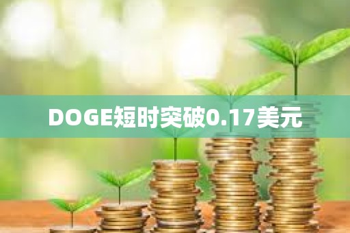 DOGE短時突破0.17美元