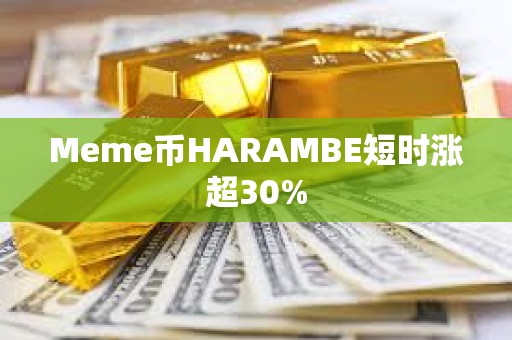 Meme幣HARAMBE短時漲超30%