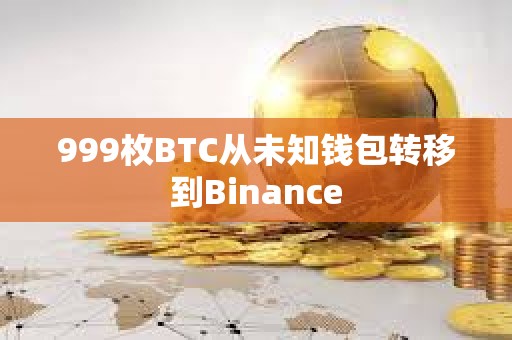 999枚BTC從未知錢包轉(zhuǎn)移到Binance