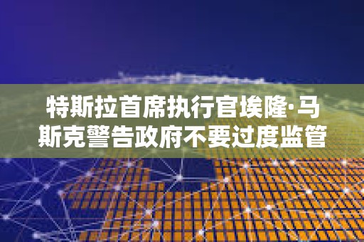 特斯拉首席執行官埃隆·馬斯克警告政府不要過度監管