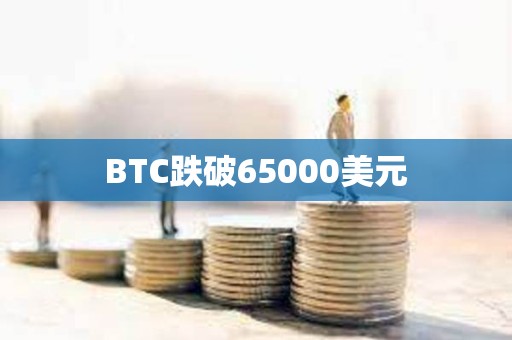 BTC跌破65000美元