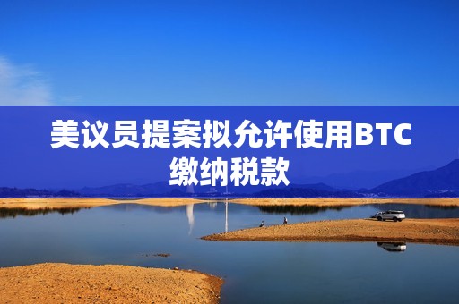 美議員提案擬允許使用BTC繳納稅款