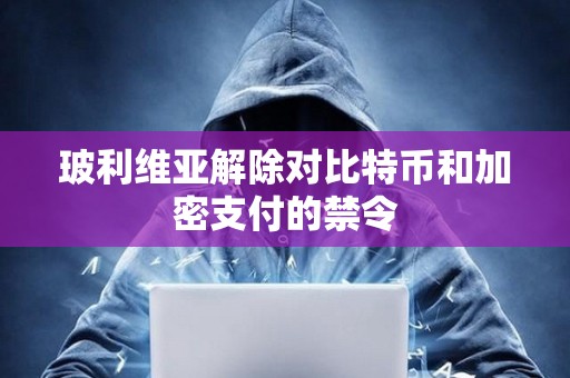 玻利維亞解除對比特幣和加密支付的禁令