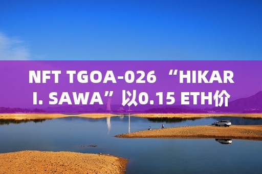 NFT TGOA-026 “HIKARI. SAWA”以0.15 ETH價格售出，較2年前高點下跌98%