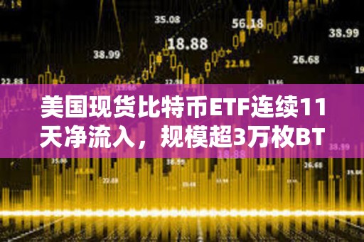 美國現貨比特幣ETF連續11天凈流入，規模超3萬枚BTC