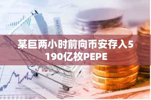 某巨兩小時前向幣安存入5190億枚PEPE