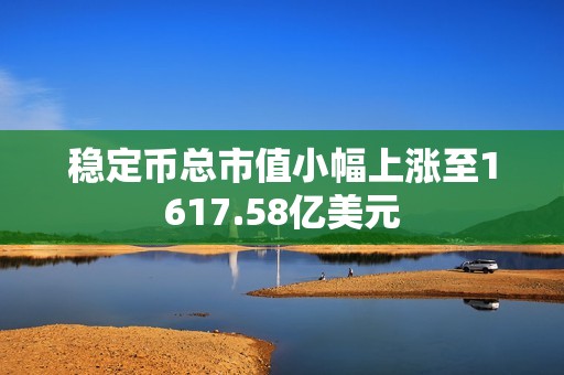 穩定幣總市值小幅上漲至1617.58億美元