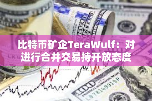 比特幣礦企TeraWulf：對進行合并交易持開放態度