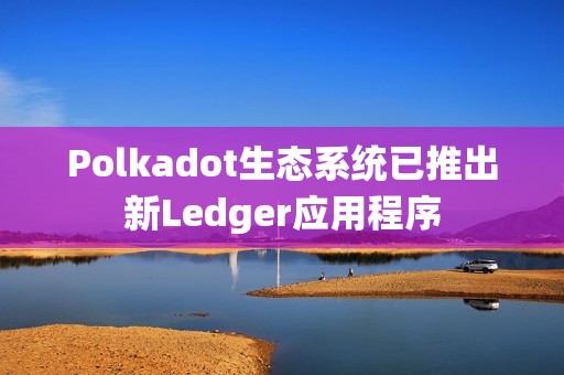 Polkadot生態系統已推出新Ledger應用程序
