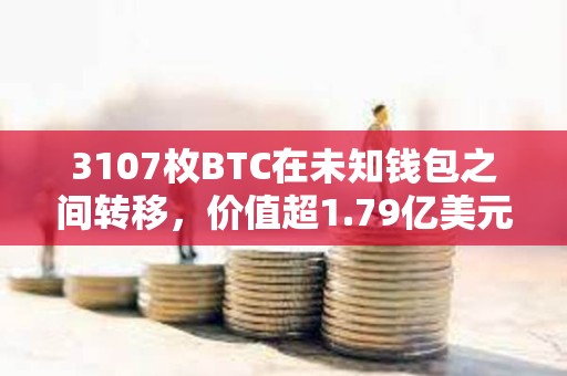 3107枚BTC在未知錢包之間轉移，價值超1.79億美元