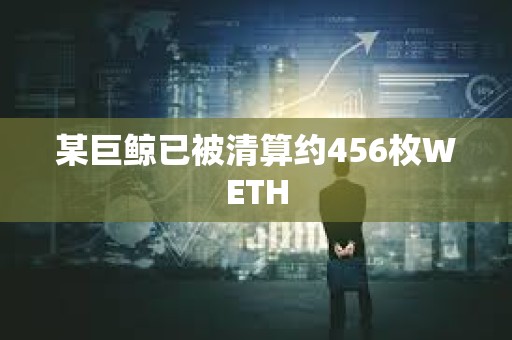 某巨鯨已被清算約456枚WETH