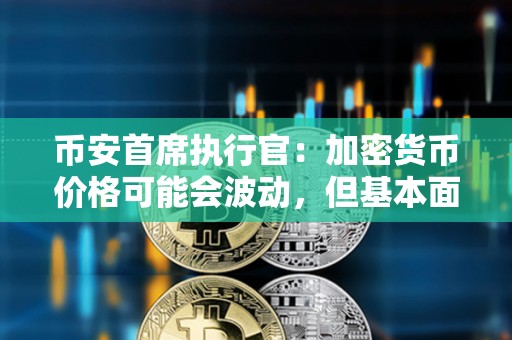 幣安首席執行官：加密貨幣價格可能會波動，但基本面強勁