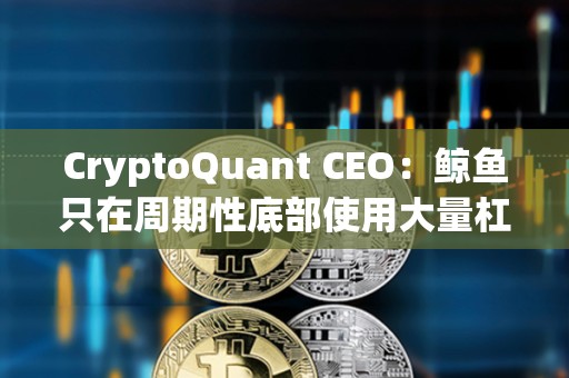 CryptoQuant CEO：鯨魚只在周期性底部使用大量杠桿，當前市場并未過度杠桿化