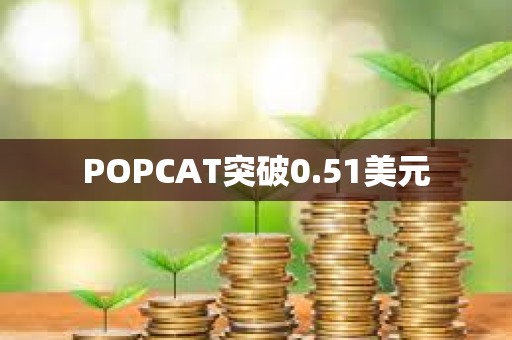 POPCAT突破0.51美元