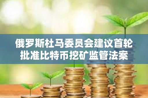 俄羅斯杜馬委員會建議首輪批準比特幣挖礦監(jiān)管法案