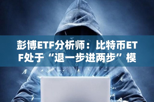 彭博ETF分析師：比特幣ETF處于“退一步進兩步”模式