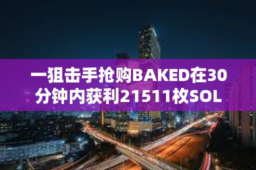 一狙擊手搶購BAKED在30分鐘內獲利21511枚SOL