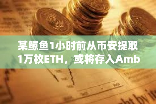某鯨魚1小時前從幣安提取1萬枚ETH，或將存入Amber Group