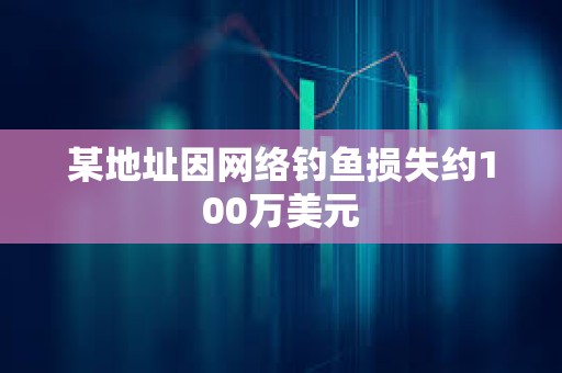 某地址因網絡釣魚損失約100萬美元
