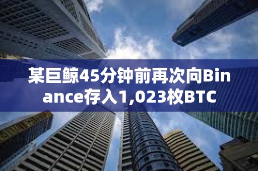 某巨鯨45分鐘前再次向Binance存入1,023枚BTC