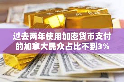 過去兩年使用加密貨幣支付的加拿大民眾占比不到3%