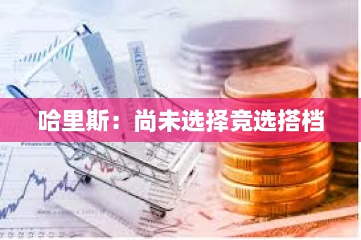 哈里斯：尚未選擇競選搭檔