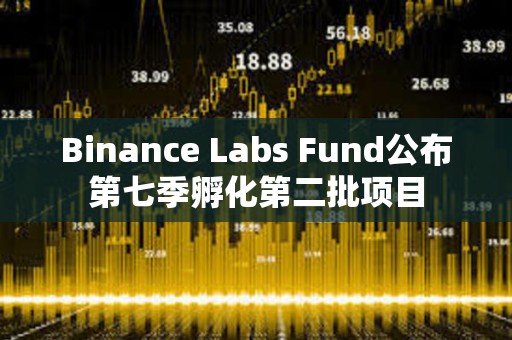 Binance Labs Fund公布第七季孵化第二批項(xiàng)目